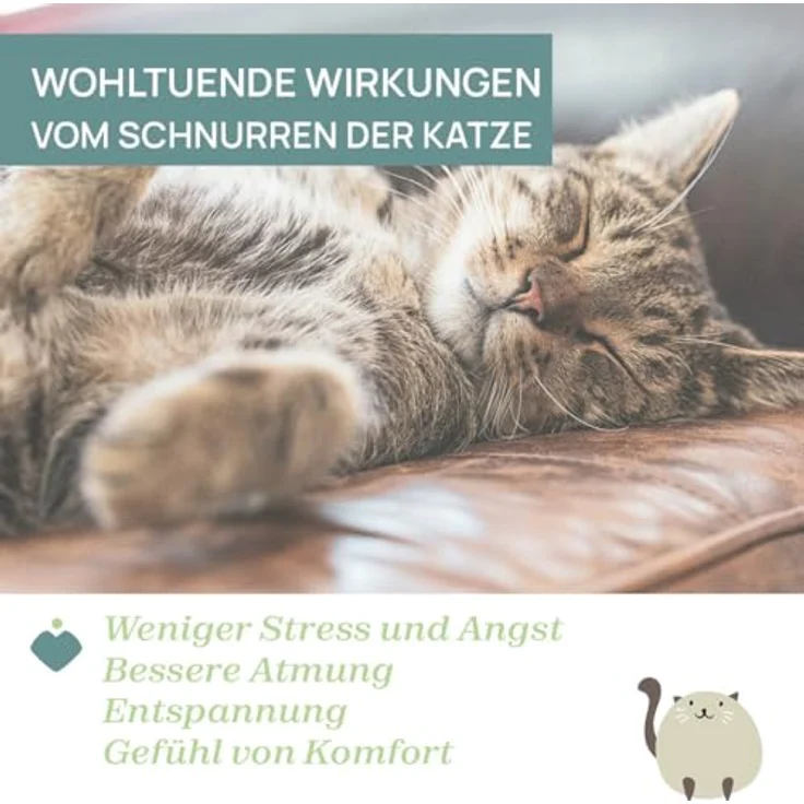 Chicco Schnurrende Katze, interaktives Stofftier mit Entspannungseffekt, Kissenform, klassische Musik, waschbar, 0 Monate +, Weiß. – Bild 4
