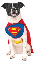 Rubies Superman Hundekostüm (L)