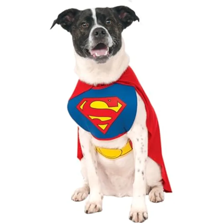 Rubies Superman Hundekostüm (L), einteilig mit gepolstertem Brustteil und angenähtem Cape, 100% Polyester