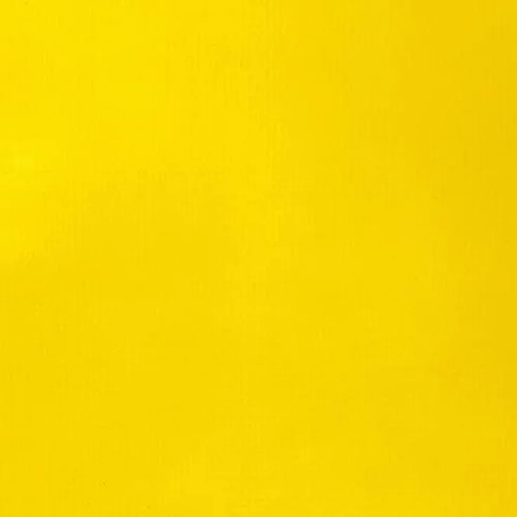 Liquitex 8870454 Basics Acrylfarbe Kadmiumgelb Mittelton, 22 ml Tube, licht- und alterungsbeständig, mittlere Viskosität, seidenglänzend, monopigmentiert, Archivqualität – Bild 2