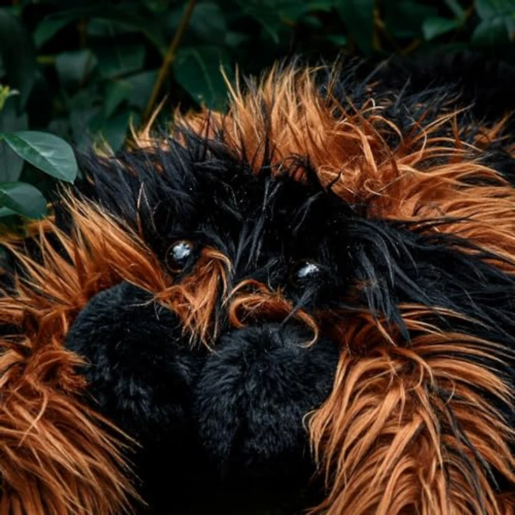 mikamax Giant Tarantula Plush - XXL - Spinne Pluschy - Spinne Plüschtier - 85 cm - Gruselig weiches Kuscheltier – Bild 5