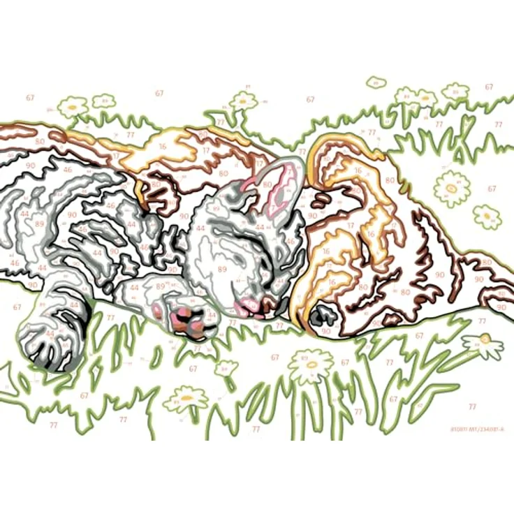 Ravensburger Malen nach Zahlen CreArt - Hund und Katze schlafen süß, vorgedruckte Malvorlage mit wasserbasierten Farben und Rahmen – Bild 3