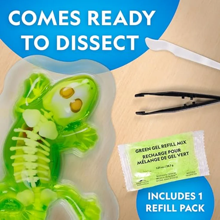 National Geographic Gecko Dissection Lab (29-2451), Experimentierkasten zur Anatomie von Geckos mit vollständigem Zubehör – Bild 5