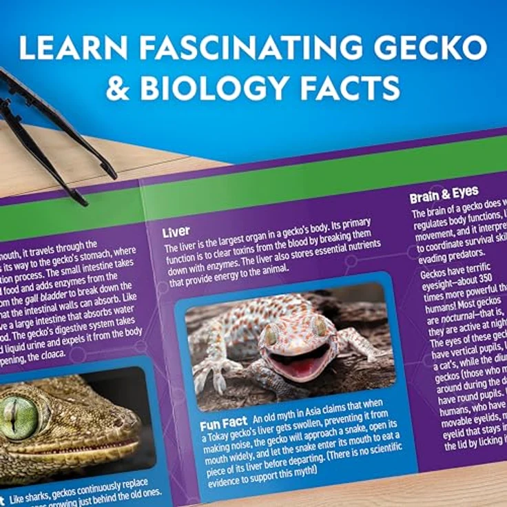 National Geographic Gecko Dissection Lab (29-2451), Experimentierkasten zur Anatomie von Geckos mit vollständigem Zubehör – Bild 6