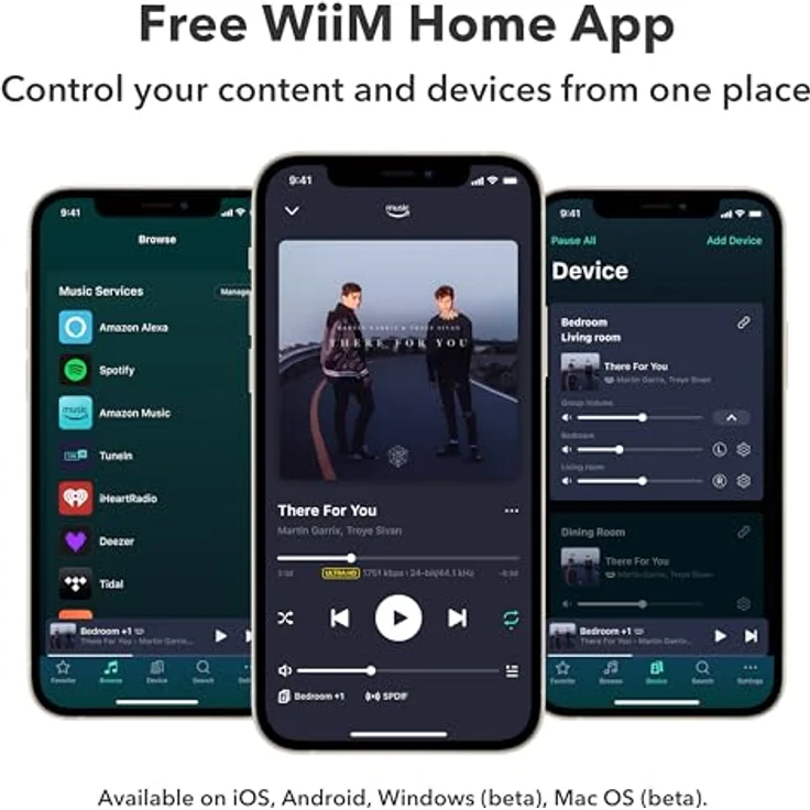 WiiM Ultra Multiroom Music Streamer | 3,5“ Touch Display, HDMI, Sprachsteuerung | Space Grau – Bild 4