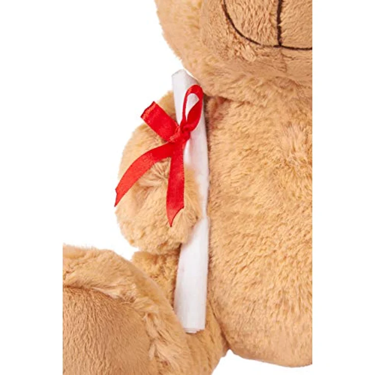 Teddy Plüschbär mit Brille, Diplom und Doktorhut - Kuscheltier für den Abschluss – Bild 6