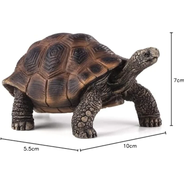 MOJO 387259 - Animal Planet - Riesenschildkröte – Bild 6