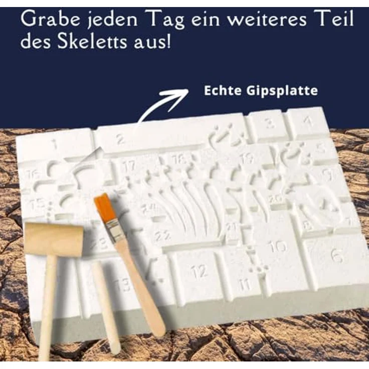 Frech Dinosaurier - Der Ausgrabungs-Adventskalender, 24 coole Überraschungen, Mitmachbuch und Werkzeugset – Bild 6