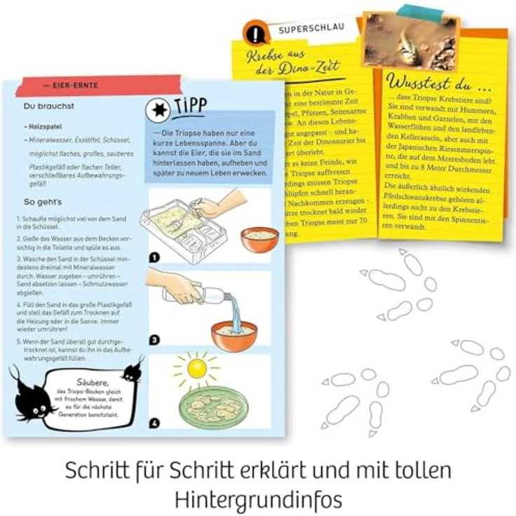 KOSMOS - Triops züchten – Bild 5