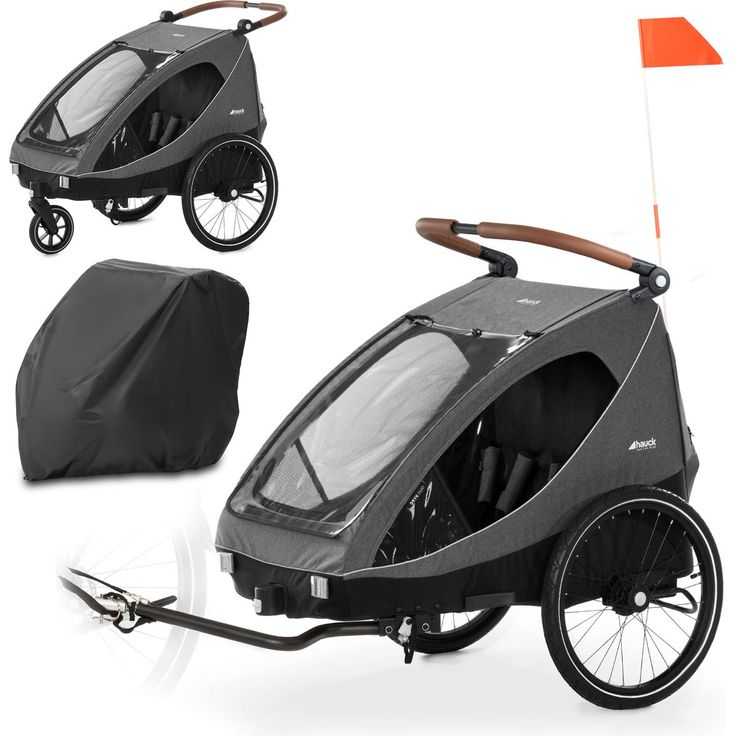 Hauck 2in1 Fahrradanhänger Dryk Duo für 2 Kinder (bis 44 kg) - Bike Trailer & City Buggy mit inkl. Faltgarage - Melange Grey