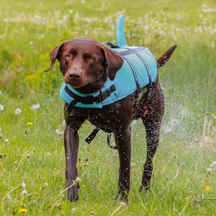 Nobby Schwimmweste Hunde Schwimmweste Sharki hellblau, Sicherheit und Spaß im Wasser – Bild 9