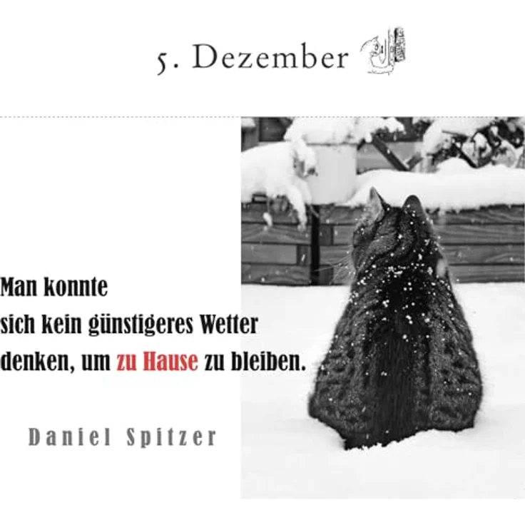 Sonstige Verlage, Der literarische Katzen-Adventskalender mit 24 Postkarten und literarischen Zitaten – Bild 6