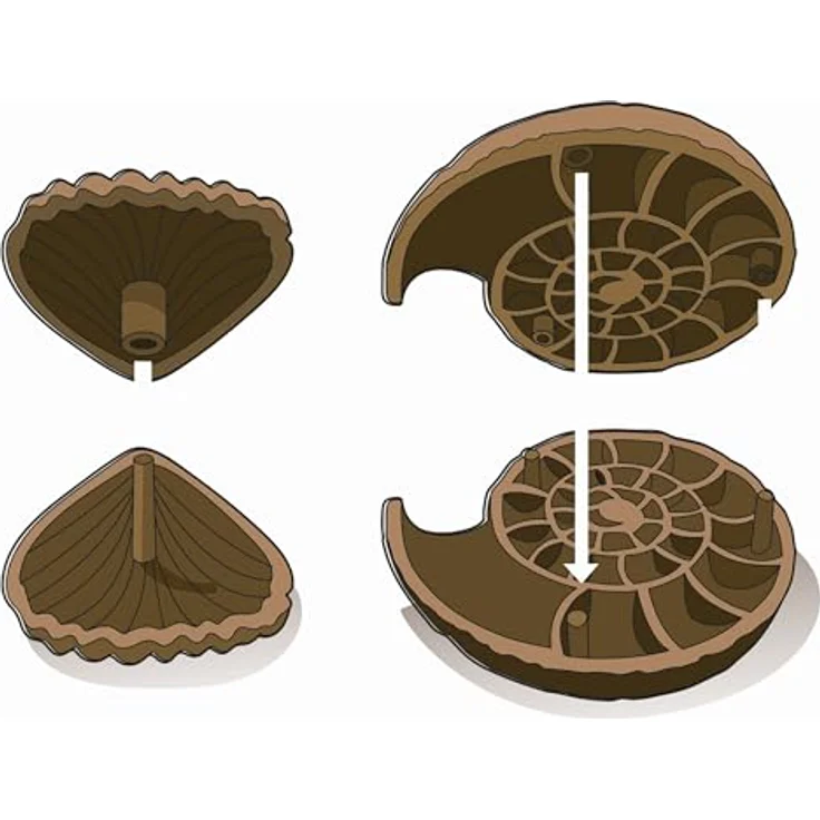 Clementoni Galileo DISCOVERY Ausgrabungs-Set für Fossilien & Mineralien, wissenschaftlicher Experimentierkasten – Bild 6