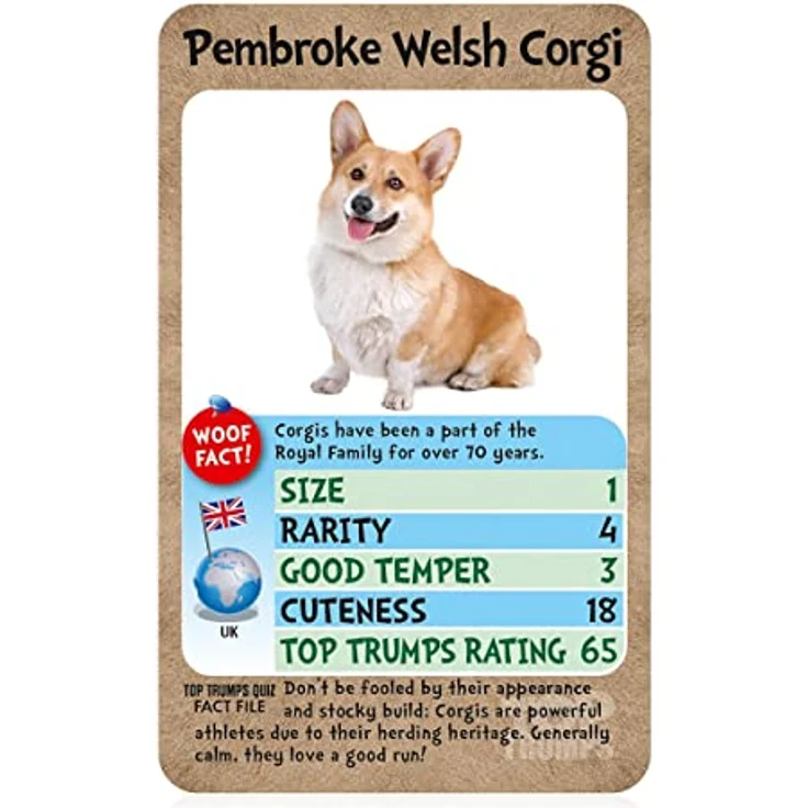 Winning Moves Dogs Top Trumps Card Game (ENGLISH) – Bild 6