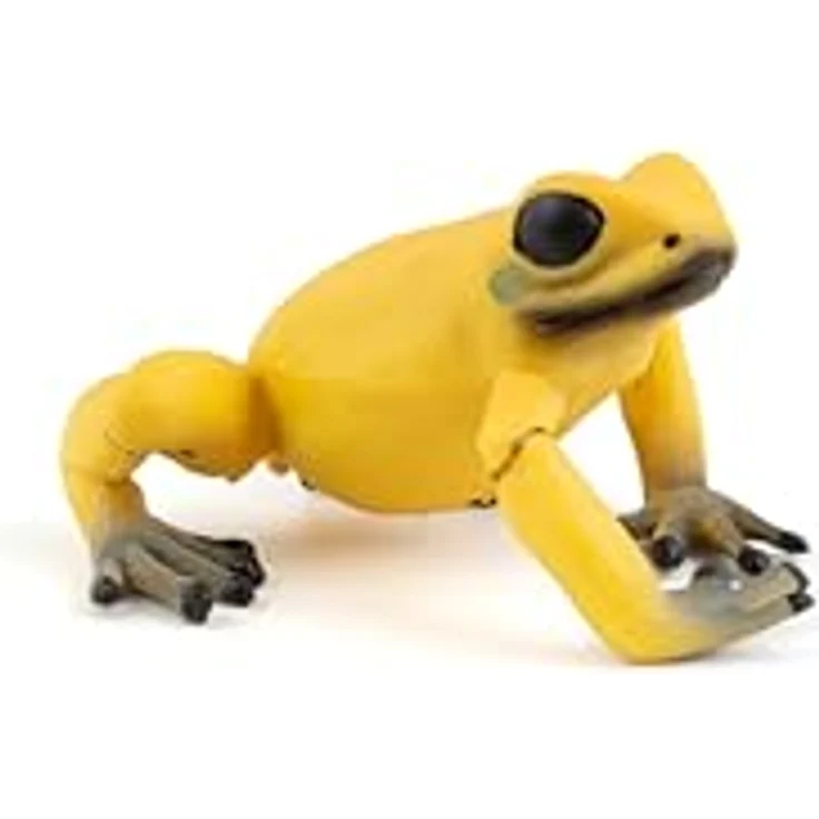 Gelber Äquatorialfrosch - Preisvergleich – Bild 5
