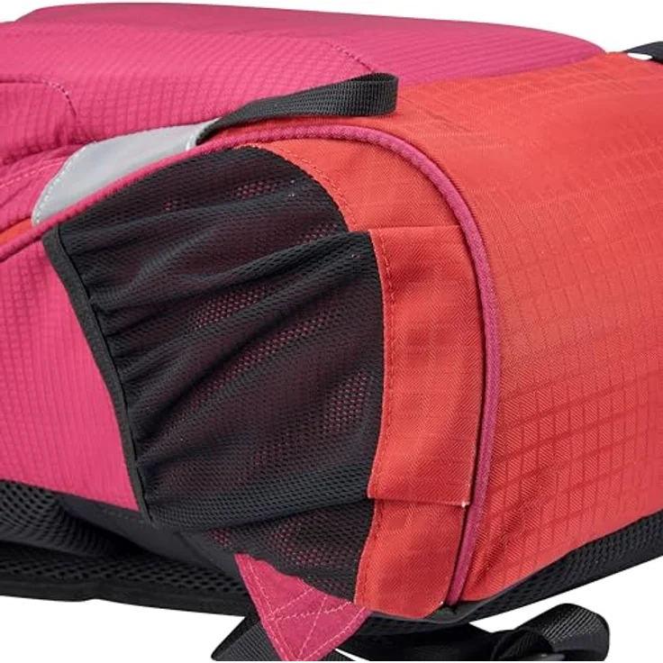Delsey Paris Wanderrucksack Nomade, Polyester mit Laptopfach für Geräte bis 13 Zoll, ergonomisches Rückensystem – Bild 9