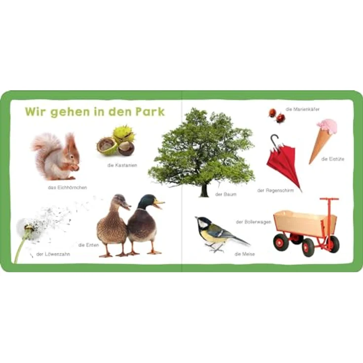 arsEdition Meine ersten 100 Wörter – Bild 5