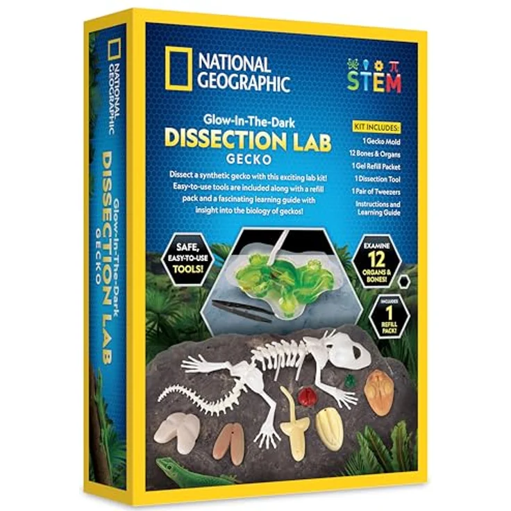 National Geographic Gecko Dissection Lab (29-2451), Experimentierkasten zur Anatomie von Geckos mit vollständigem Zubehör – Bild 7
