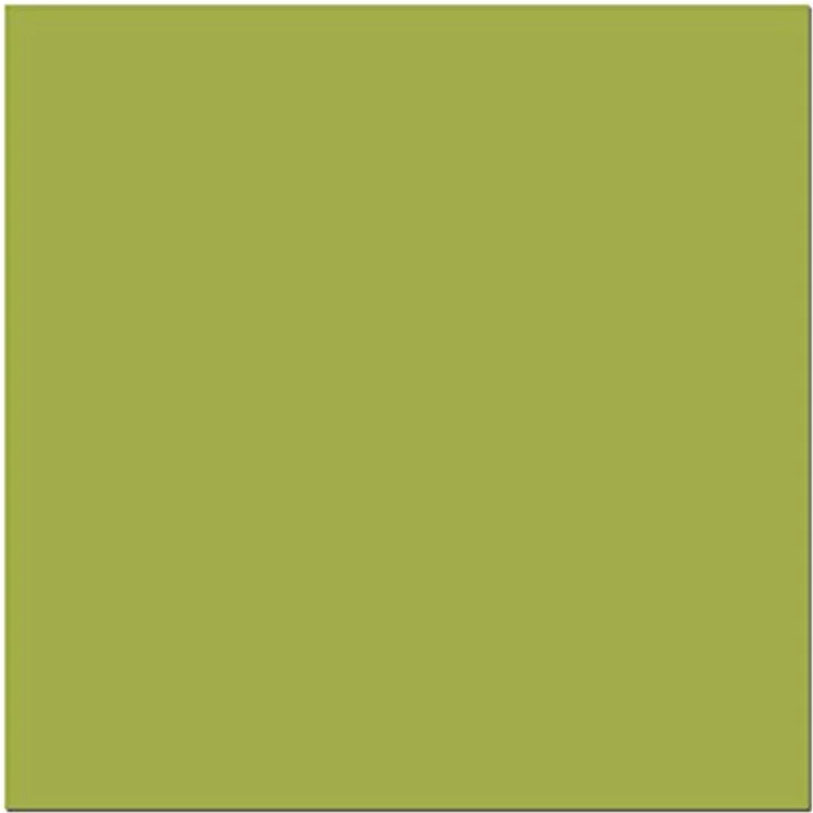 Theraline 03011402 Nackenkissen mittel inklusive Bezug, 100 x 21 cm, jersey schilfgrün – Bild 3