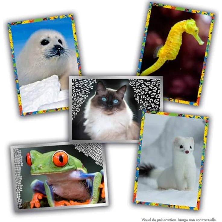 Panini Starterpaket – Tiere 2025, Album + 3 Hüllen + 15 Aufkleber für Sammelkarten – Bild 6