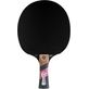 Tischtennisschläger