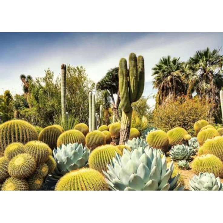 Ravensburger Puzzle 12000850 - Beautiful Gardens, The Huntington Desert Garden, California, USA - 1000 Teile Puzzle für Erwachsene und Kinder ab 14 Jahren, Garten und Pflanzen Motiv – Bild 2
