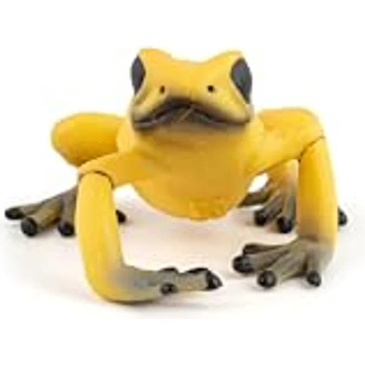 Gelber Äquatorialfrosch - Preisvergleich – Bild 3