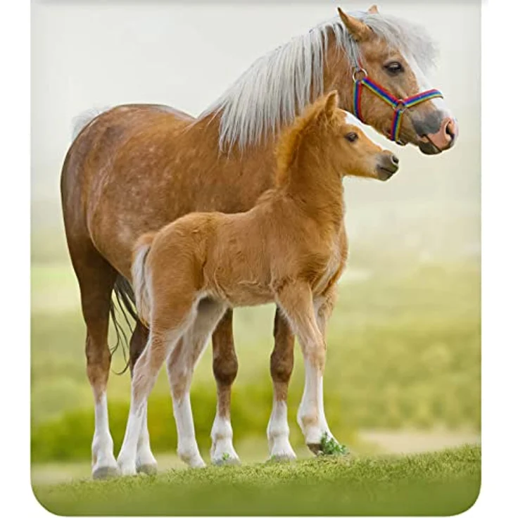 ESPiCO Bettwäsche Trendy Bedding Pferd Pony Fohlen Haflinger Koppel Blumen Blümchen Grün Braun Renforcé, 2-teilig, 100% Baumwolle, Atmungsaktiv, Öko-Tex Standard 100, 135x200 cm – Bild 3
