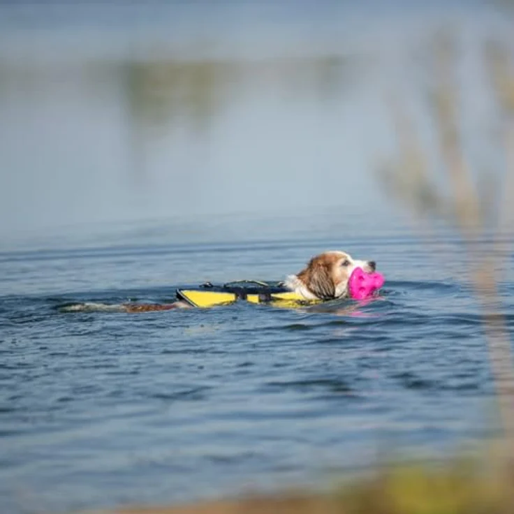 TRIXIE Schwimmweste für Hunde gelb/schwarz, anatomische Form für optimalen Tragekomfort – Bild 6
