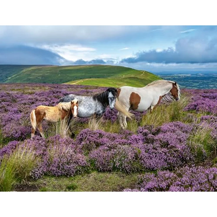 Ravensburger Puzzle 12001751 - Wildpferde in der Heide - 2000 Teile, reflexfreies Bild, knickstabile Teile, ab 14 Jahren – Bild 2