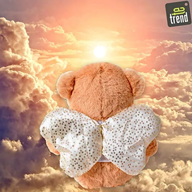TE-Trend Schutzengel Kinder Plüsch Engel Kuscheltier Schutzengelbär Glücksbär Teddy Teddybär Glücksbringer Geschenk Rosa – Bild 6
