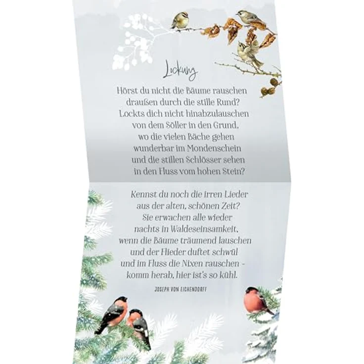 Coppenrath Coffee-Table-Adventskalender, Zauberhafte Weihnachtszeit mit 24 Briefkuverts, Geschichten und Deko-Anhängern – Bild 3