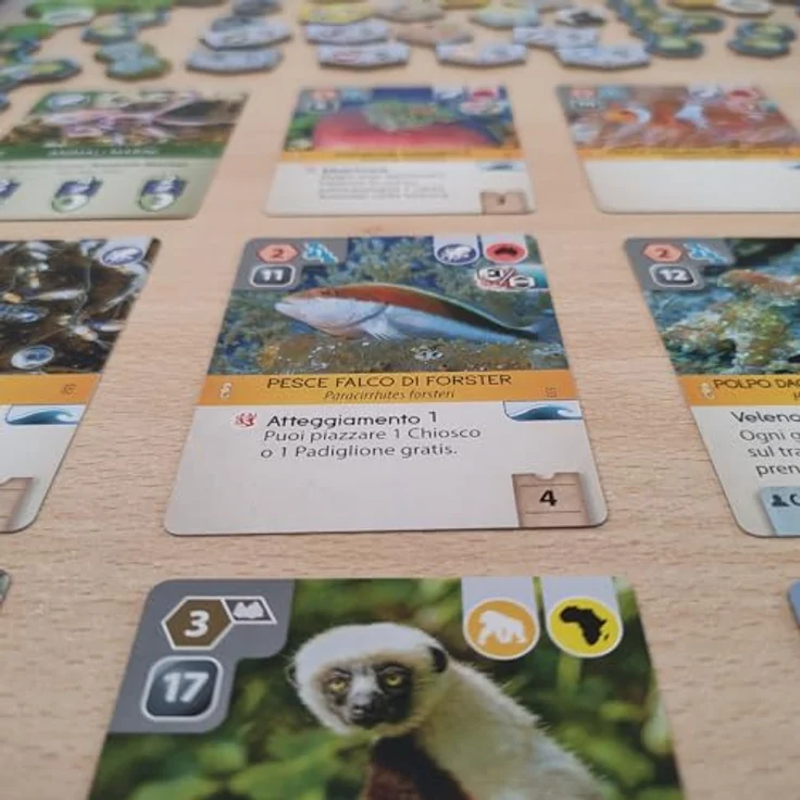 Cranio Creations Ark Nova, Brettspiel mit Unterwasserwelten und Meeresbewohnern, inklusive alternativer Aktionskarten und Spielertoken – Bild 3