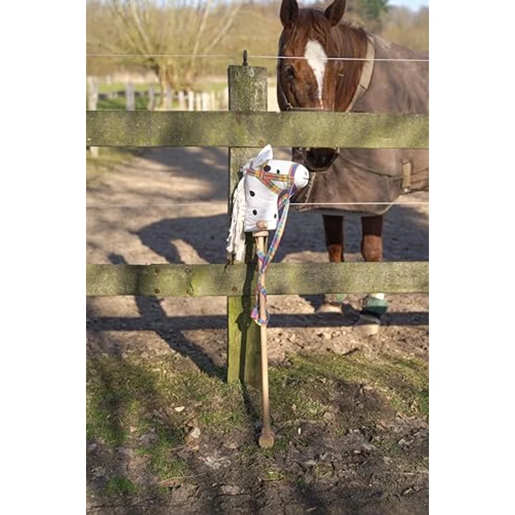 goki® Steckenpferd Schimmel – Bild 6