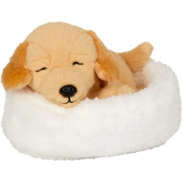 Die Spiegelburg I Schlafender Hund Isi im Korb, Kuscheltier mit goldenem Fell, 13 x 6 x 10 cm, Schonwaschgang 30 Grad