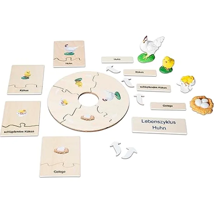 Betzold Lebenszyklus Huhn, Holz-Puzzle mit Phasen der Entwicklung vom Ei zum Huhn, für Kinder ab 5 Jahren