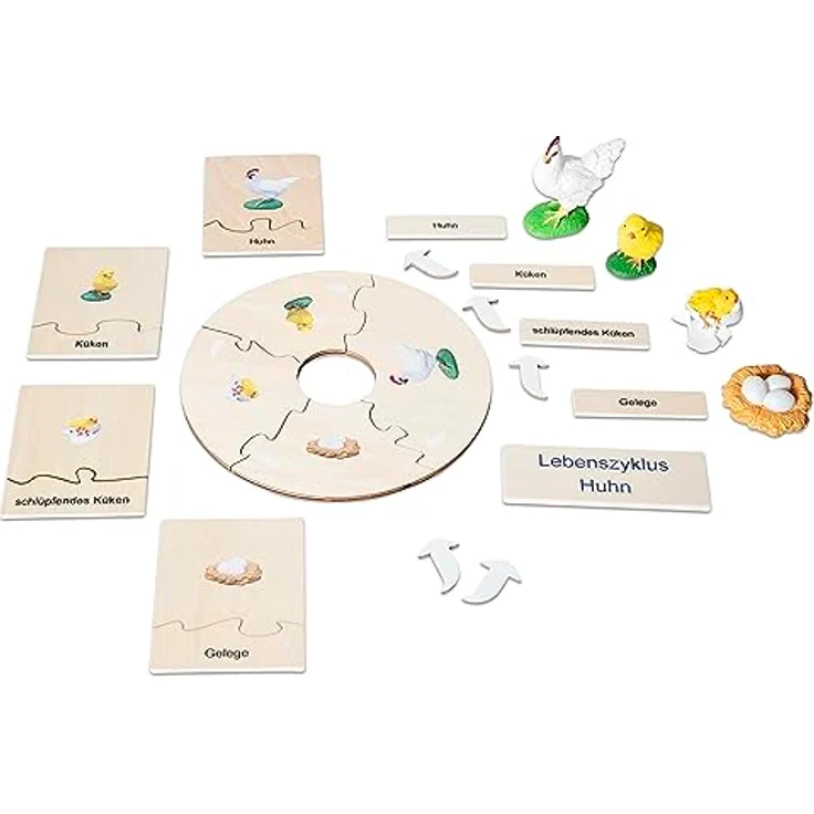 Betzold Lebenszyklus Huhn, Holz-Puzzle mit Phasen der Entwicklung vom Ei zum Huhn, für Kinder ab 5 Jahren – Bild 1