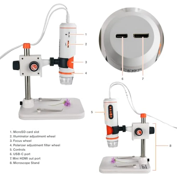 Celestron MicroDirect 1080p HDMI, digitales Handmikroskop mit 3,5 Megapixel Sensor, 10x bis 220x Vergrößerung und HD-Video-Streaming – Bild 11