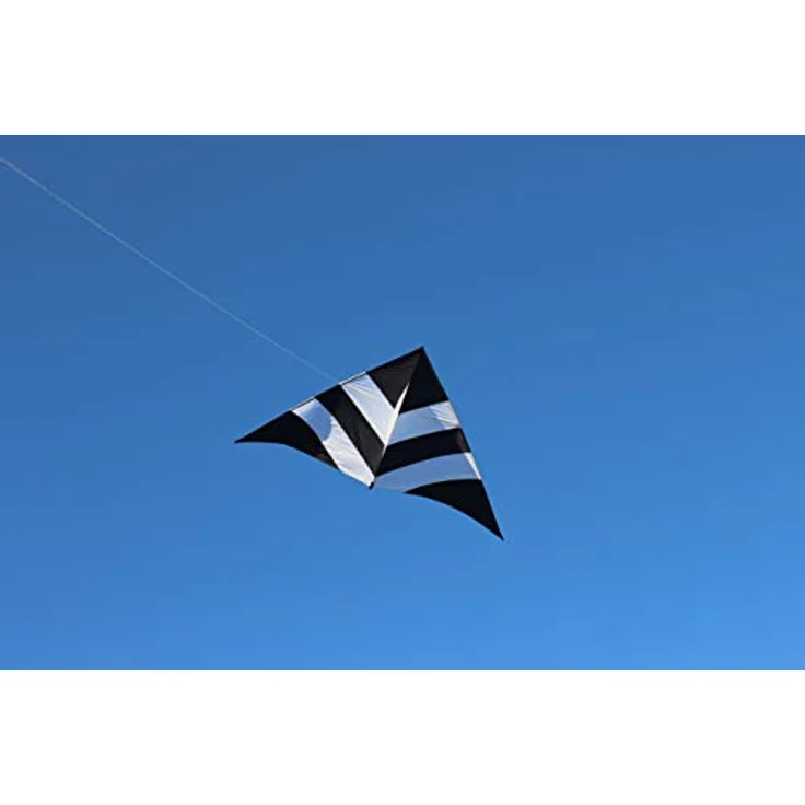 Black & White Delta Flugdrache Schwarz und weiß gestreift, Einleiner Drachen für Einsteiger – Bild 2