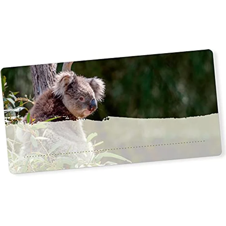 itenga 40x Buchetiketten Heftetiketten 9x4,5cm, selbstklebend, beschreibbar, ideal als Namensschild, Schulheft Etiketten (Koala) – Bild 1