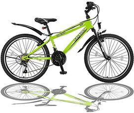 Talson 24 Zoll Mountainbike Fahrrad mit Gabelfederung & Beleuchtung 21-Gang Shimano FSTR Grün