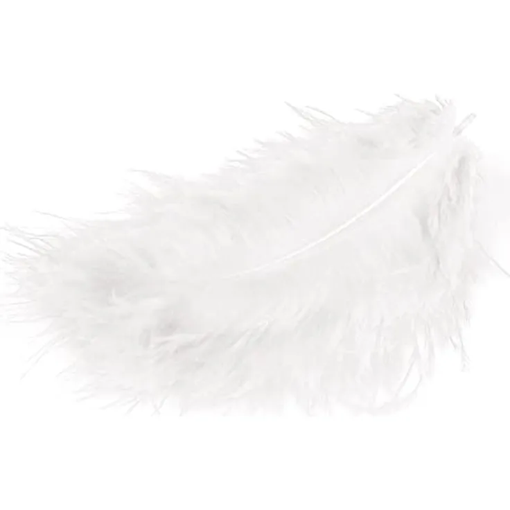Marabu Federn verschiedene Farben, Farbe:weiss
