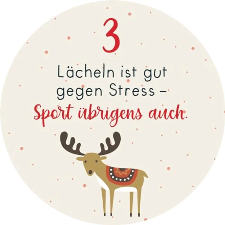 Ars Edition Adventskalender in der Dose, Christmas Fitness mit 24 Übungskarten für Home-Workouts – Bild 3