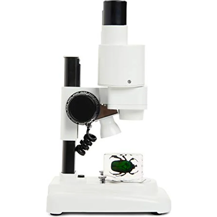 Celestron Labs Mikroskop S20, Einsteiger-Stereo-Mikroskop mit 20-facher Vergrößerung, LED-Beleuchtung und Metallkopf – Bild 5