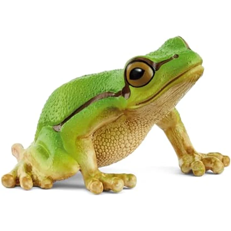Schleich Europäischer Laubfrosch (14882), detailgetreue Figur in leuchtend grün, 5,4 x 4,3 x 3,3 cm – Bild 1