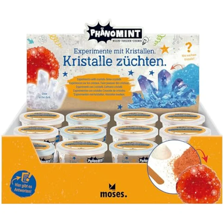 PhänoMINT Kristalle züchten – Bild 2