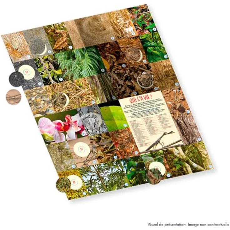 Panini Starterpaket – Tiere 2025, Album + 3 Hüllen + 15 Aufkleber für Sammelkarten – Bild 3