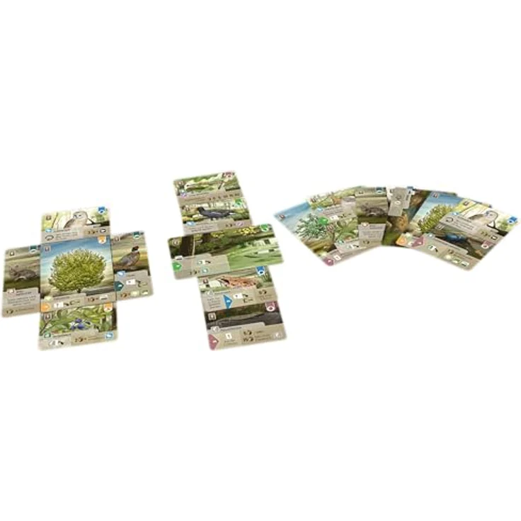 Lookout Mischwald: Dartmoor, Kartenspiel für 2-5 Spieler, Grundspiel mit strategischem Set-Collection und Geländekarten, Deutsch, ab 10 Jahren, 60 Minuten Spielzeit – Bild 5