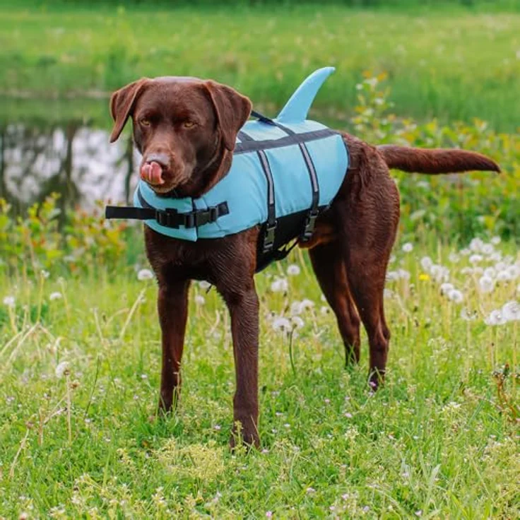 Nobby Schwimmweste Hunde Schwimmweste Sharki hellblau, Sicherheit und Spaß im Wasser – Bild 4