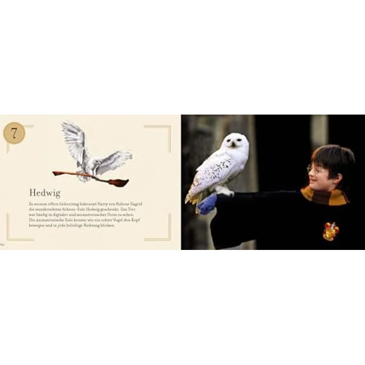 Panini Harry Potter - Weihnachten in Hogwarts - Das große Adventskalenderbuch, interaktives Pop-up-Buch für magische Momente – Bild 6